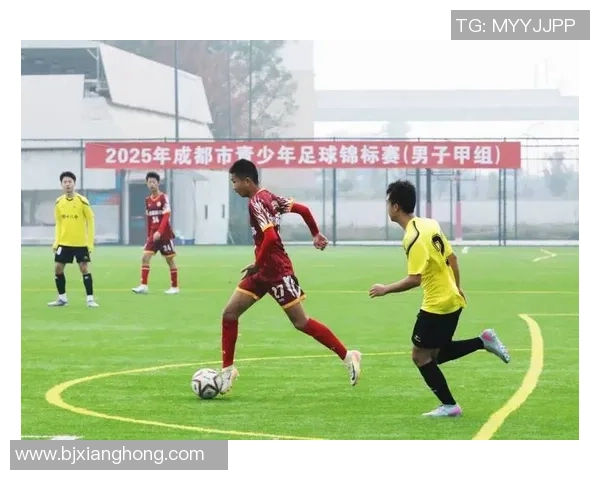 成都足球队的蜕变之路世界锦标赛背后的奋斗与荣耀